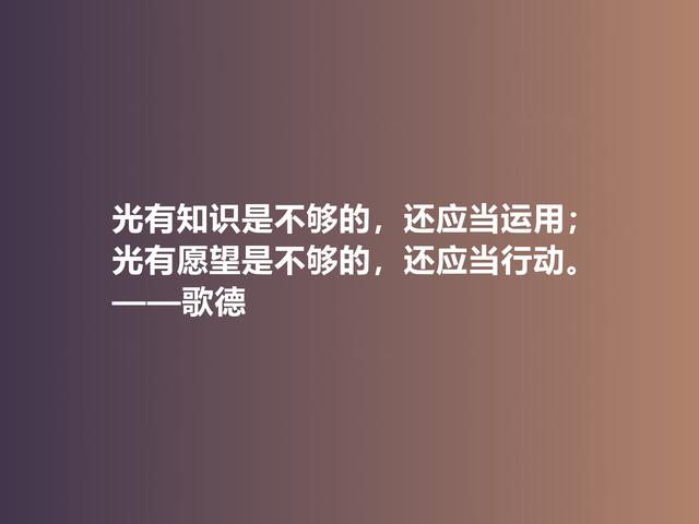 伟大的西方诗人，抒情诗绝美，歌德美言，暗含浓烈的人生真谛