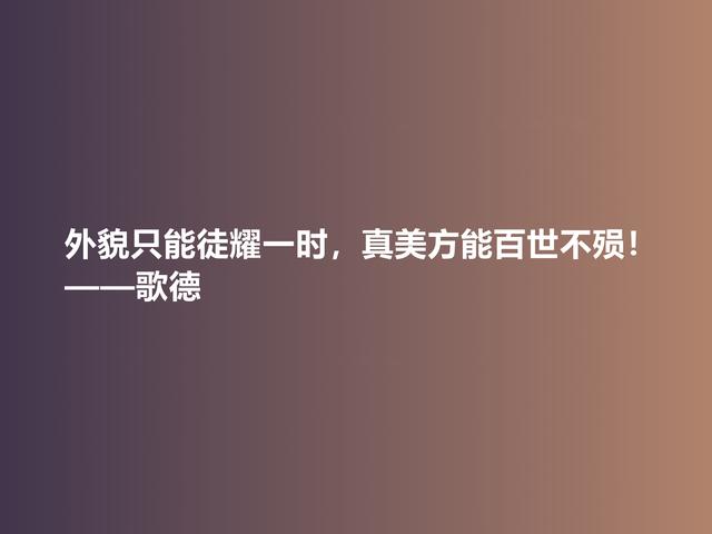 伟大的西方诗人，抒情诗绝美，歌德美言，暗含浓烈的人生真谛