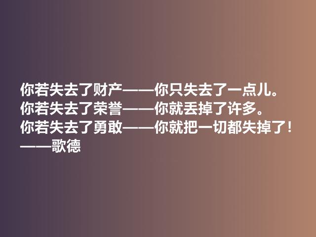 伟大的西方诗人，抒情诗绝美，歌德美言，暗含浓烈的人生真谛