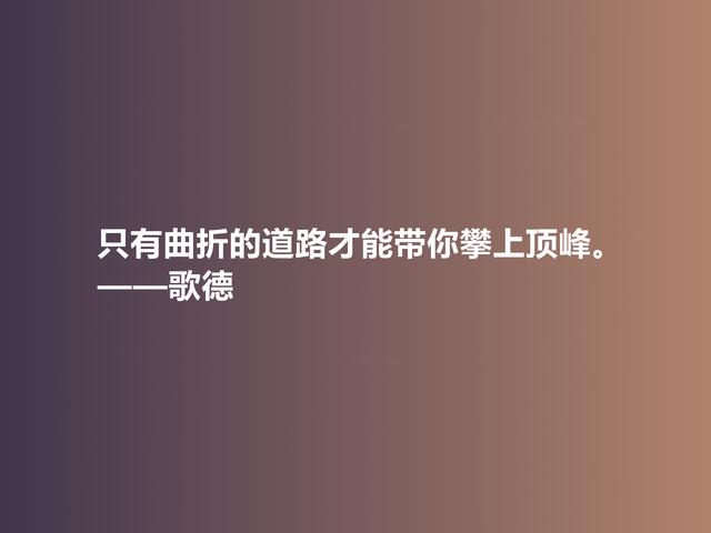 伟大的西方诗人，抒情诗绝美，歌德美言，暗含浓烈的人生真谛