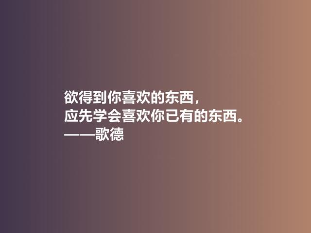 伟大的西方诗人，抒情诗绝美，歌德美言，暗含浓烈的人生真谛