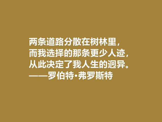 美国诗人罗伯特·弗罗斯特佳话，景物唯美道理深刻，启迪人生