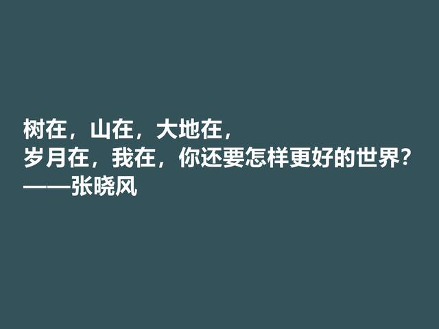 著名女散文家，张晓风格言，句式绚丽多姿，读完让人流连忘返