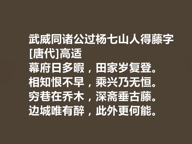 盛唐著名边塞诗人，高适诗，情感慷慨激昂，振奋人心