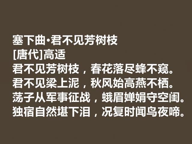 盛唐著名边塞诗人，高适诗，情感慷慨激昂，振奋人心