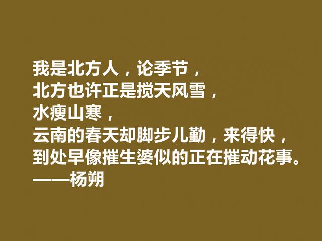 我国近代散文名家，杨朔八句诗化格言，多姿多彩，妙不可言