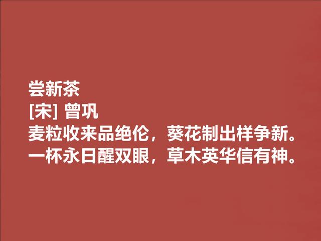 北宋大诗人，曾巩这诗，彰显高尚人格，写景咏物诗奔放又浪漫