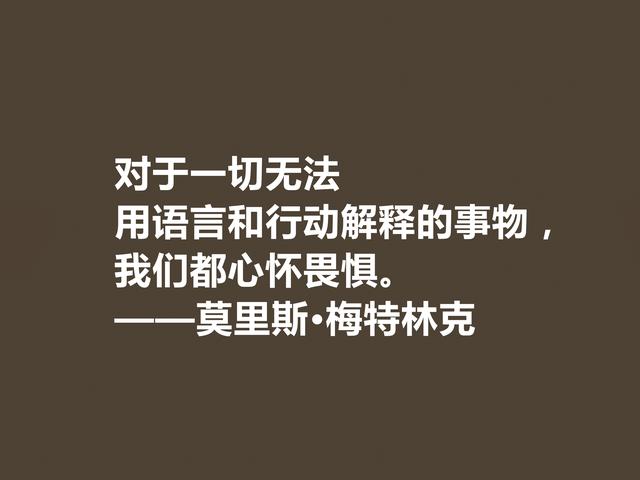 他是象征主义作家，一生追求光明与美，这格言，说得真透彻