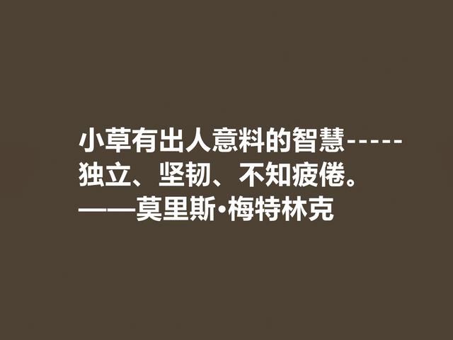 他是象征主义作家，一生追求光明与美，这格言，说得真透彻