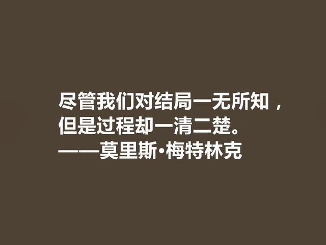 他是象征主义作家，一生追求光明与美，这格言，说得真透彻