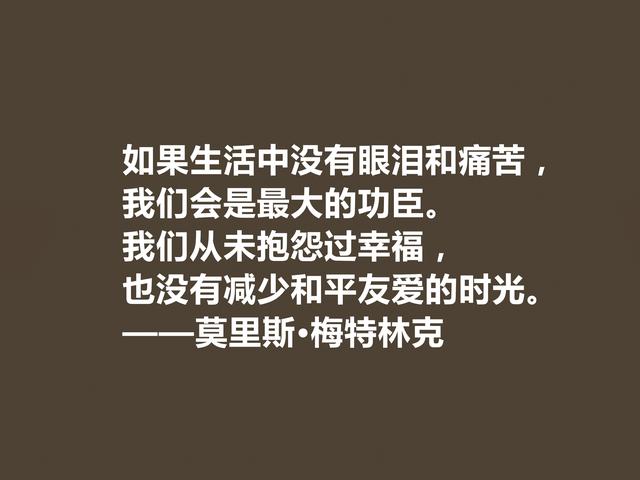 他是象征主义作家，一生追求光明与美，这格言，说得真透彻