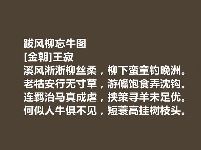 金朝诗坛名家，王寂诗作，辞气张扬，气度陈雄，题画诗最美好