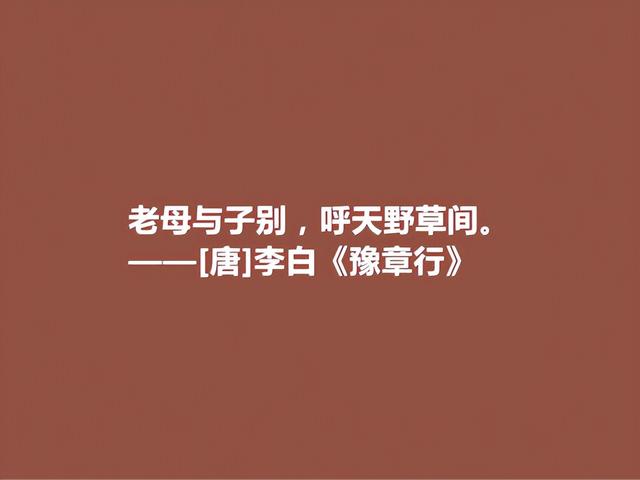 母亲节读古诗，这关于母亲的诗句，尽显母爱之伟大，太感动了