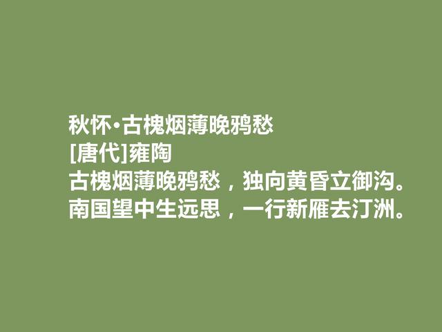 唐中晚期诗人，又是寒士群体的代表，雍陶诗，明辨清浊