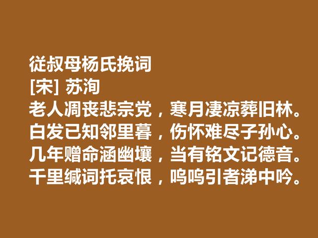 北宋文学家，苏洵诗，情感刻骨铭心，叫人拍案叫绝，不愧名家