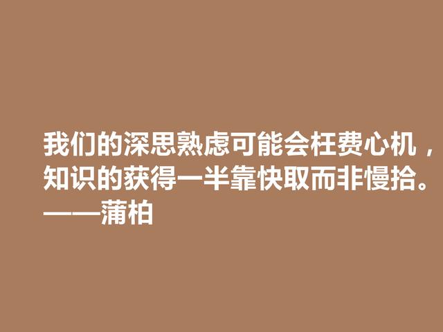 英国励志诗人，蒲柏格言，美轮美奂，读懂能够洗涤心灵