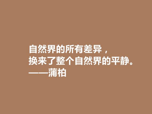 英国励志诗人，蒲柏格言，美轮美奂，读懂能够洗涤心灵