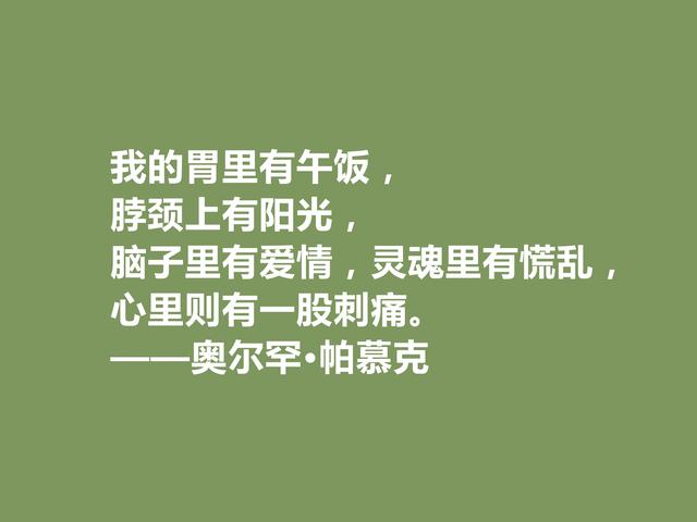 欧洲三位核心作家之一，帕慕克格言凸显叛逆感，读完血脉喷张