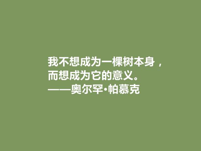 欧洲三位核心作家之一，帕慕克格言凸显叛逆感，读完血脉喷张