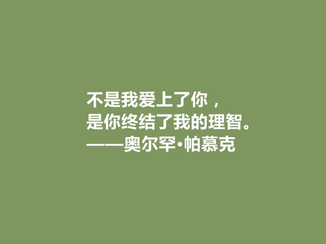 欧洲三位核心作家之一，帕慕克格言凸显叛逆感，读完血脉喷张