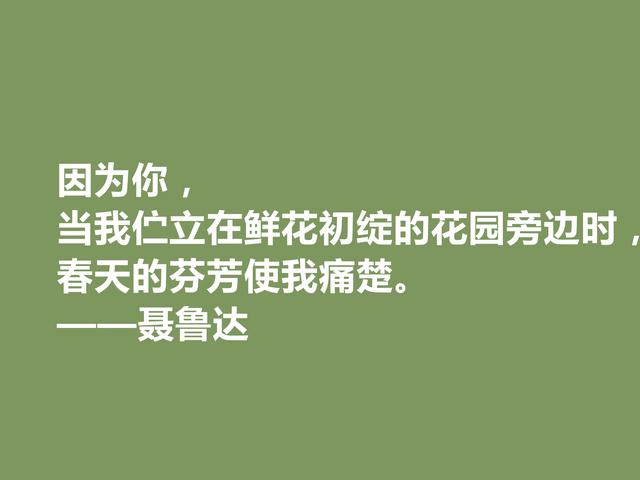 智利伟大诗人，聂鲁达这诗，激昂澎湃，直击人心，真让人痛快