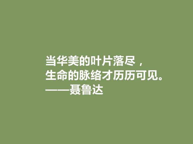 智利伟大诗人，聂鲁达这诗，激昂澎湃，直击人心，真让人痛快