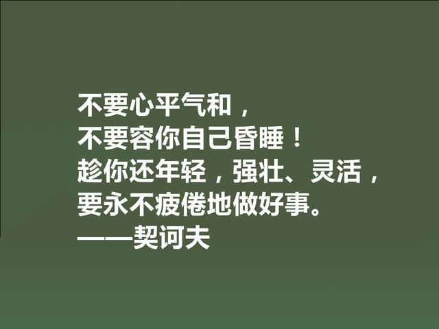 俄国短篇小说家，契诃夫格言，暗含忧郁气质，又充满人生真谛