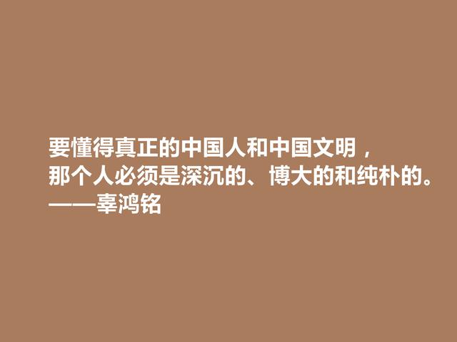 清末怪杰，又极具争议性，辜鸿铭话，体现爱国情怀，值得肯定