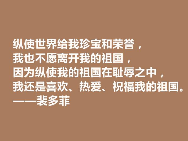 匈牙利爱国诗人，读裴多菲诗句，尽显坚定不移的决心