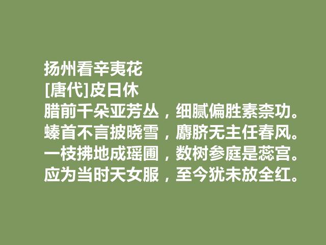 晚唐最著名诗人之一，皮日休诗，清雅奇峭，具备浓烈的时代感