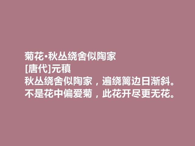 中唐著名诗人，诗歌独步天下，元稹这诗，通俗易懂又耐人寻味