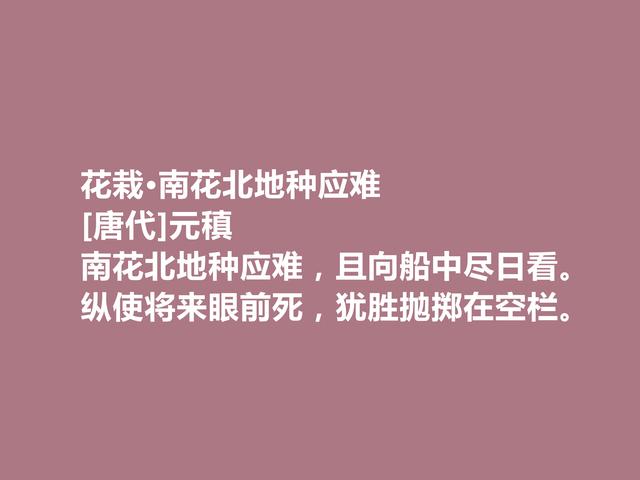 中唐著名诗人，诗歌独步天下，元稹这诗，通俗易懂又耐人寻味