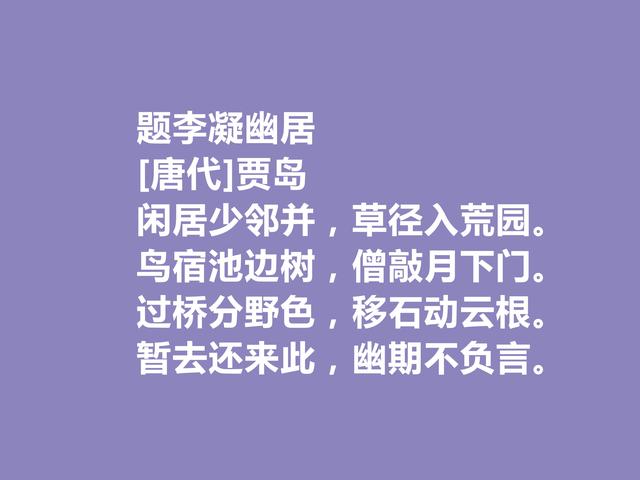 唐朝最刻苦的诗人，因生计出家为僧，贾岛这诗，佛禅理念浓重