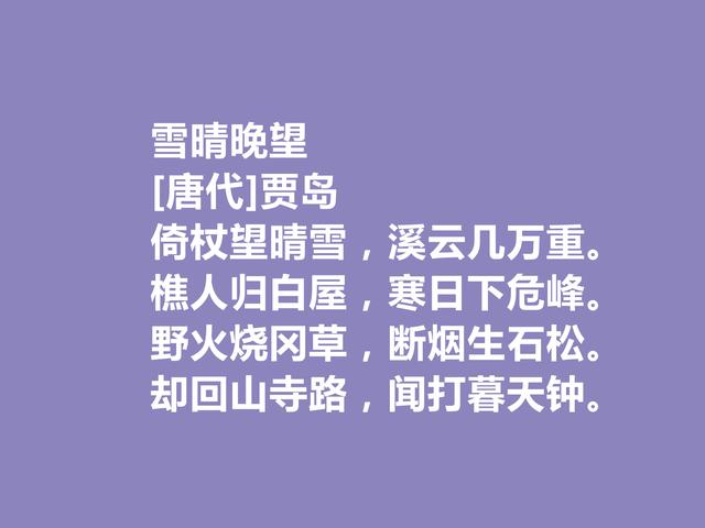 唐朝最刻苦的诗人，因生计出家为僧，贾岛这诗，佛禅理念浓重