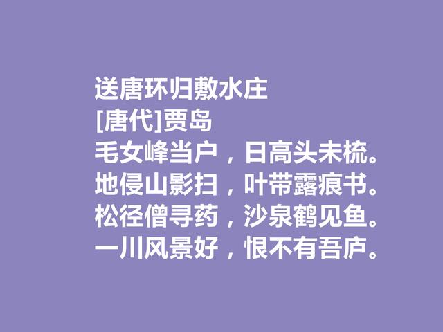 唐朝最刻苦的诗人，因生计出家为僧，贾岛这诗，佛禅理念浓重