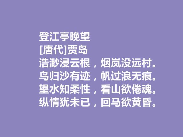 唐朝最刻苦的诗人，因生计出家为僧，贾岛这诗，佛禅理念浓重