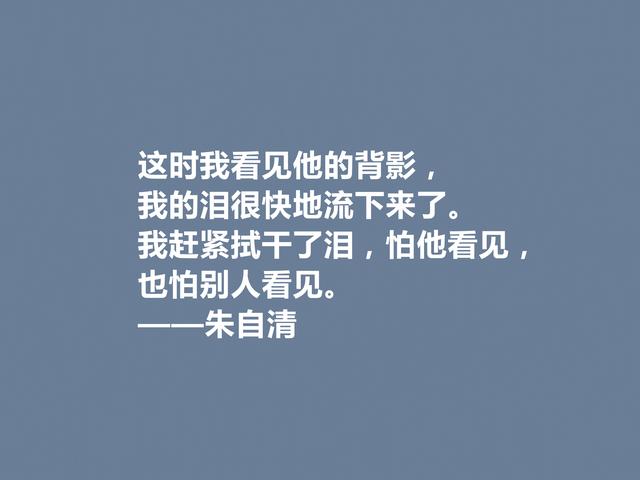 他的诗让人拍案叫绝，散文令人回味无穷，朱自清佳话，太美了