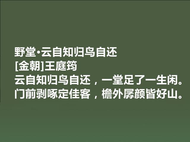 他是金朝诗坛大人物，王庭筠这诗，透射出孤独意境，值得品读