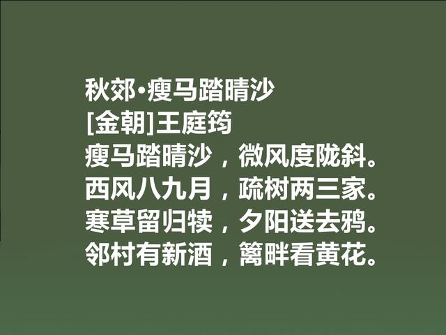 他是金朝诗坛大人物，王庭筠这诗，透射出孤独意境，值得品读