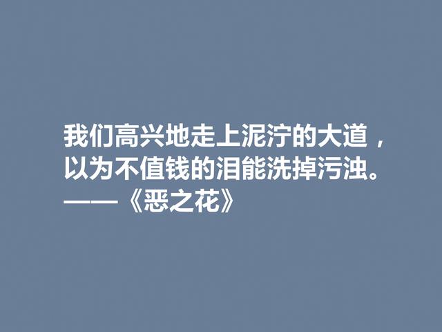 法国诗人波德莱尔，诗集《恶之花》中佳话，透彻又犀利，佩服