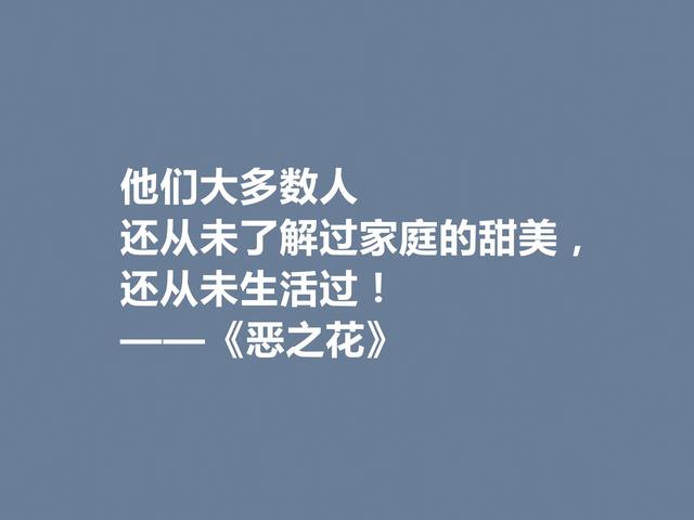 法国诗人波德莱尔，诗集《恶之花》中佳话，透彻又犀利，佩服