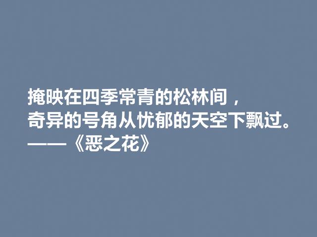 法国诗人波德莱尔，诗集《恶之花》中佳话，透彻又犀利，佩服