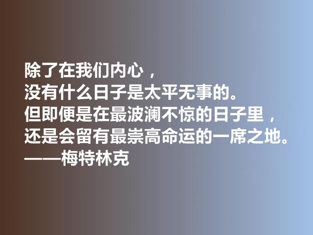 比利时剧作家和诗人，梅特林克佳话，凸显浓厚的哲学观