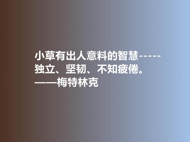 比利时剧作家和诗人，梅特林克佳话，凸显浓厚的哲学观