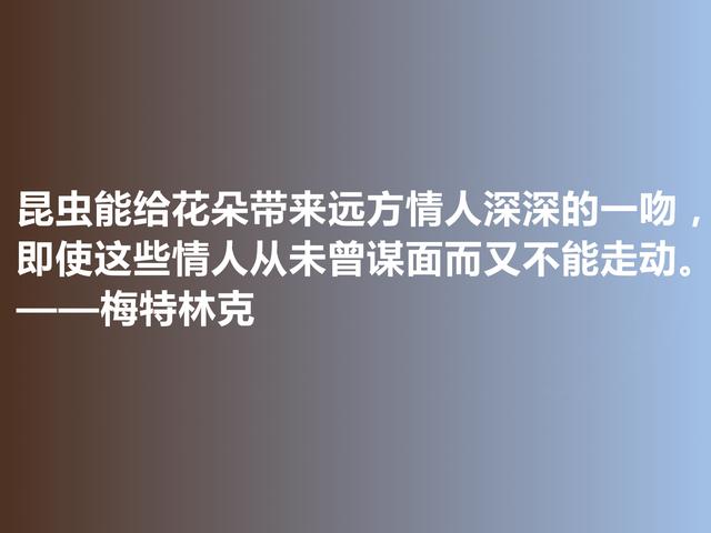 比利时剧作家和诗人，梅特林克佳话，凸显浓厚的哲学观