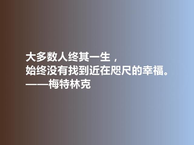 比利时剧作家和诗人，梅特林克佳话，凸显浓厚的哲学观