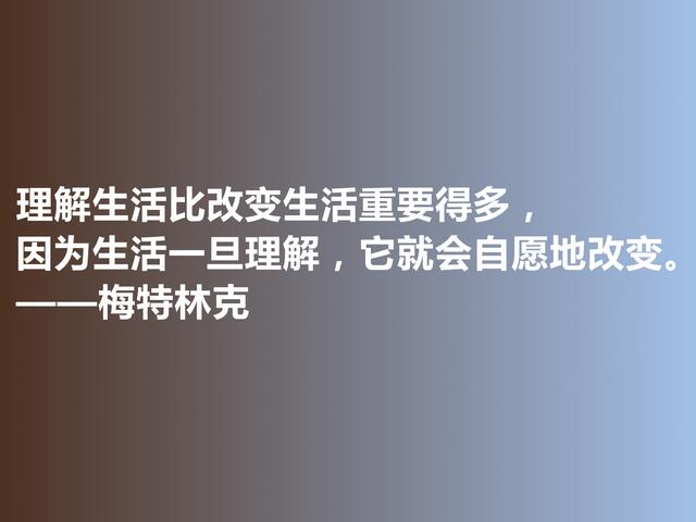 比利时剧作家和诗人，梅特林克佳话，凸显浓厚的哲学观