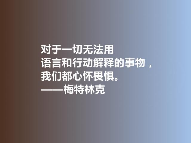 比利时剧作家和诗人，梅特林克佳话，凸显浓厚的哲学观