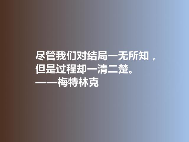 比利时剧作家和诗人，梅特林克佳话，凸显浓厚的哲学观