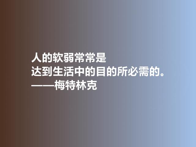 比利时剧作家和诗人，梅特林克佳话，凸显浓厚的哲学观